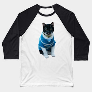 Cats in Sweaters Baseball T-Shirt